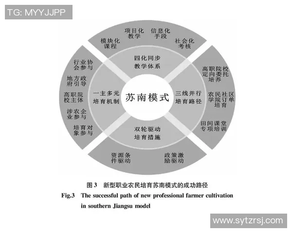 基于奖励机制的创新设计与应用探讨：激励效果与实践优化路径分析