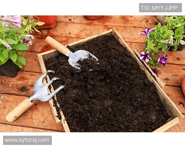 花卉种植技巧与经验分享:从土壤选择到日常护理的全面指南 花卉种植技巧与经验分享:从土壤选择到日常护理的全面指南